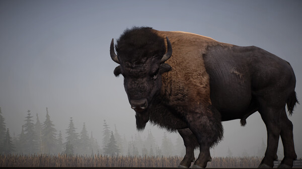 图片[3]-阿拉斯加卡车司机 v20251205 全DLC（Alaskan Road Truckers）免安装中文版-87软件库｜绿色软件+破解游戏下载站