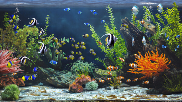 图片[4]-禅意水族馆 Build.21145897（Zen Aquarium）免安装中文版-87软件库｜绿色软件+破解游戏下载站