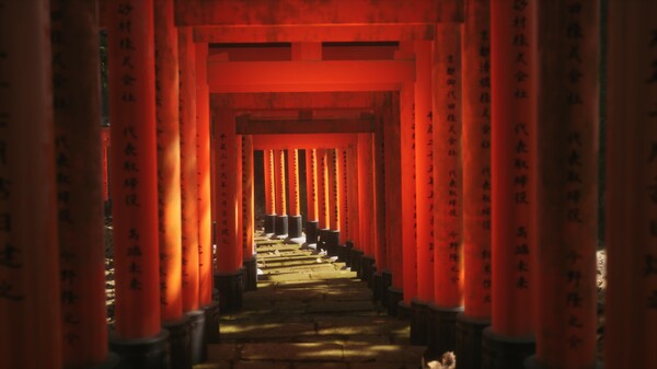 图片[3]-模拟美景摄影|徒步旅行摄影 v20251211（Lushfoil Photography Sim）免安装中文版-87软件库｜绿色软件+破解游戏下载站