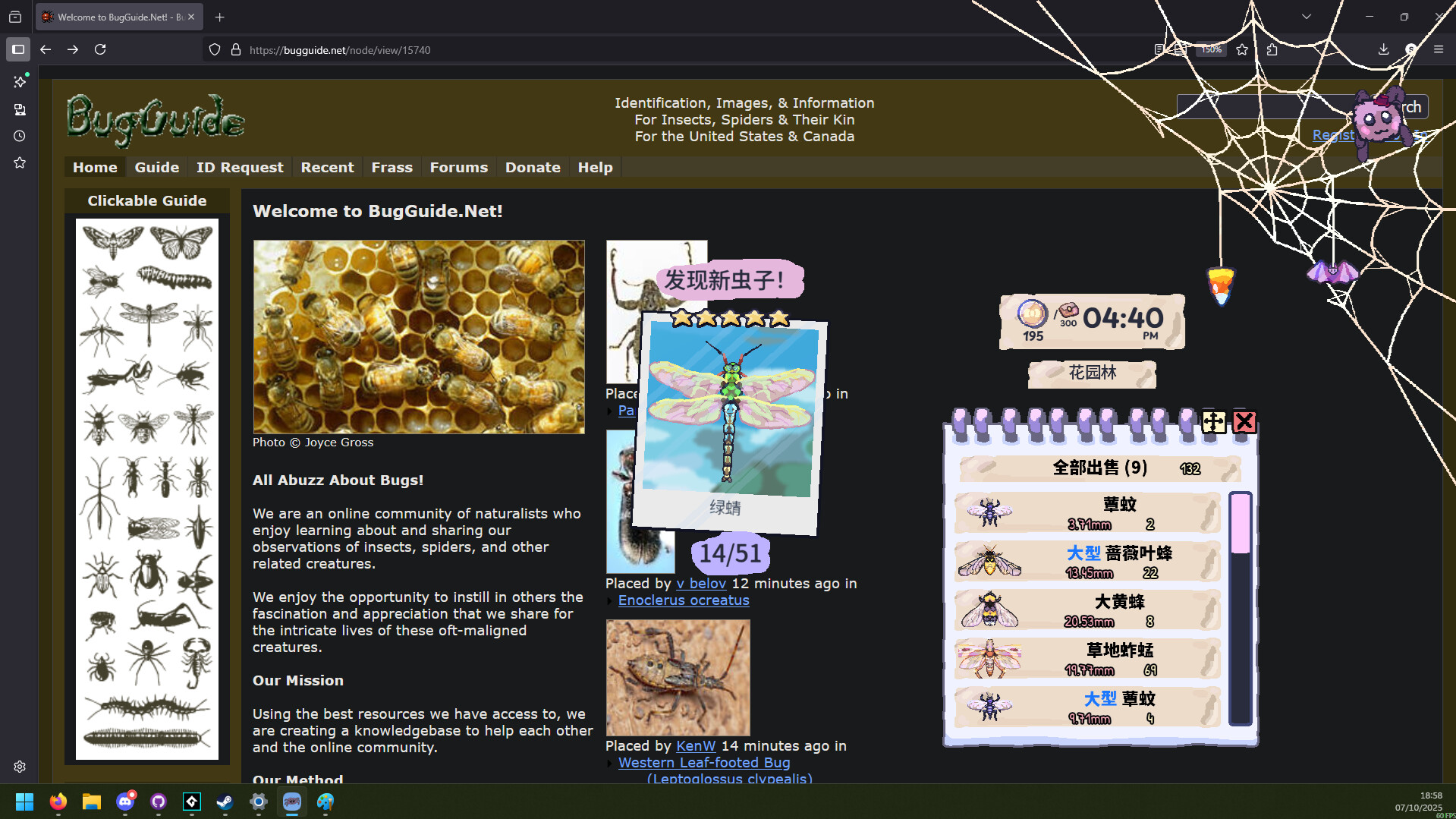 图片[4]-我的小小蜘蛛 Build.20861628（My Little Spider）免安装中文版-87软件库｜绿色软件+破解游戏下载站