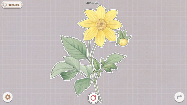 图片[3]-挤在一起的植物 Build.15501149（Plants Huddled Together）免安装中文版-87软件库｜绿色软件+破解游戏下载站