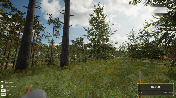 图片[2]-蘑菇猎人世界 Build.20194458（Mushroom Hunter World）免安装中文版-87软件库｜绿色软件+破解游戏下载站