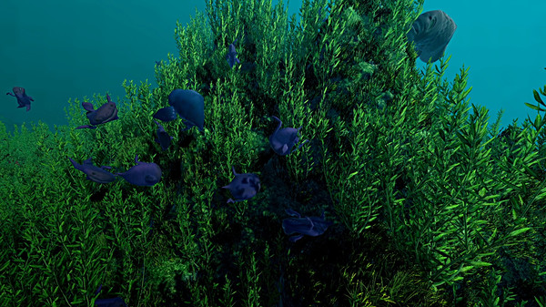 图片[5]-生态系统 v1.12（Ecosystem）免安装中文版-87软件库｜绿色软件+破解游戏下载站