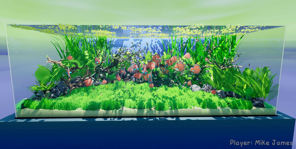 图片[6]-养鱼模拟器 v20250915 全DLC（Fish Game）免安装英文版-87软件库｜绿色软件+破解游戏下载站