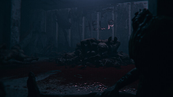 图片[4]-最终署名 Build.19971944（Final Signature）免安装中文版-87软件库｜绿色软件+破解游戏下载站