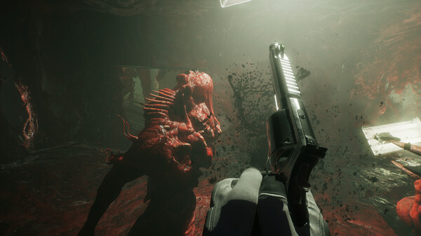 图片[3]-SCP：大流行病 v0.16.1.35（SCP: 5K）免安装中文版-87软件库｜绿色软件+破解游戏下载站