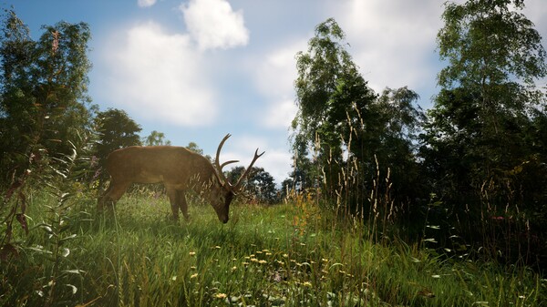 图片[5]-恐惧地带 v1.5.8.1 单机+联机（DREADZONE）免安装中文版-87软件库｜绿色软件+破解游戏下载站