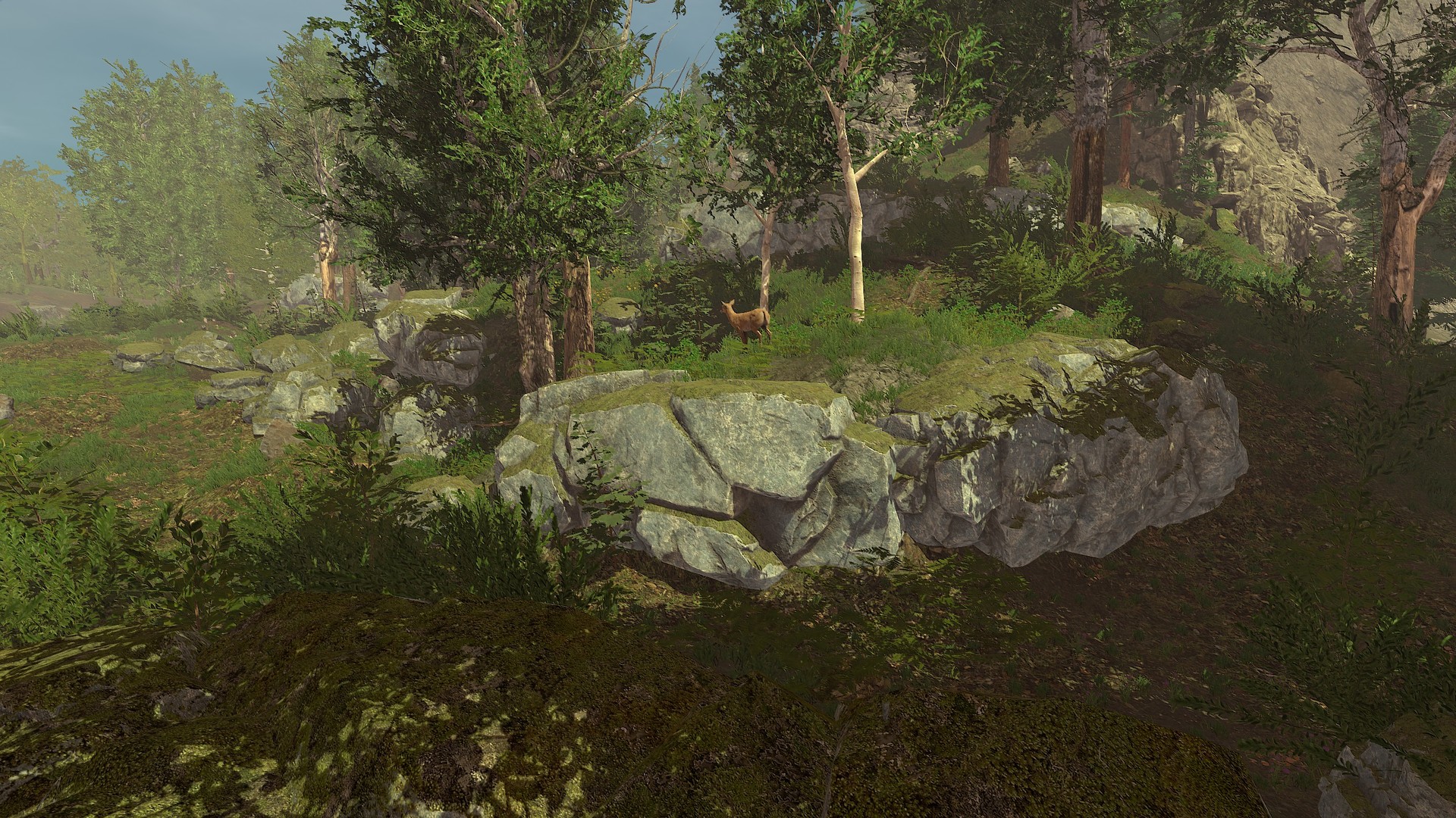 图片[2]-荒野的试炼 v4.9.3（Trials of Wilderness）免安装中文版-87软件库｜绿色软件+破解游戏下载站