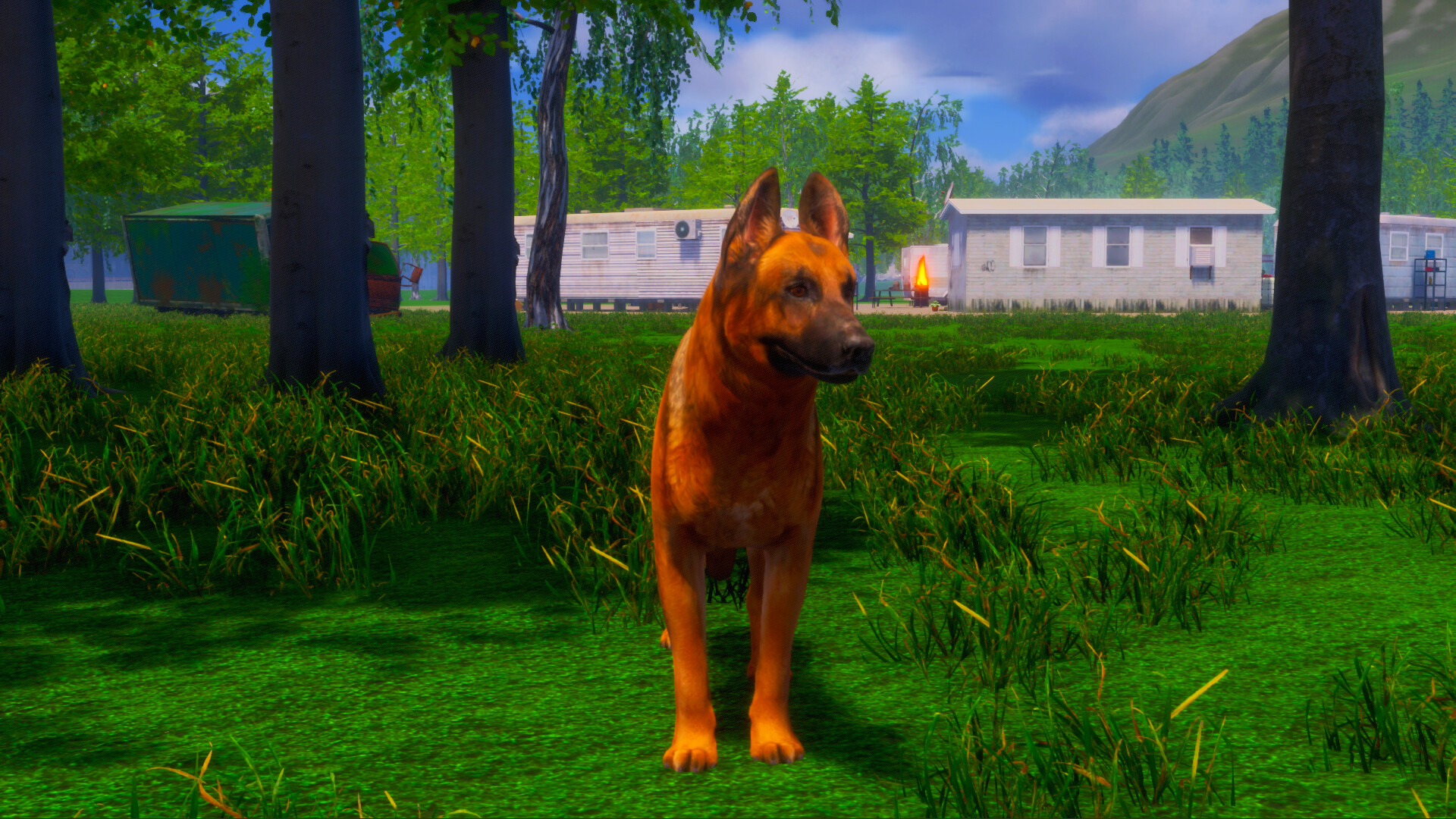 图片[5]-迷途狗爪 Build.20758095（Lost Paws）免安装中文版-87软件库｜绿色软件+破解游戏下载站