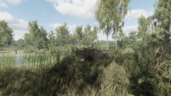 图片[4]-猎捕行动 Build.20557498（On the Hunt）免安装中文版-87软件库｜绿色软件+破解游戏下载站