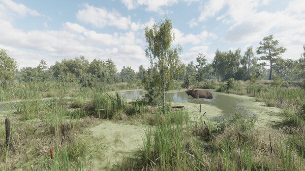 图片[5]-猎捕行动 Build.20557498（On the Hunt）免安装中文版-87软件库｜绿色软件+破解游戏下载站