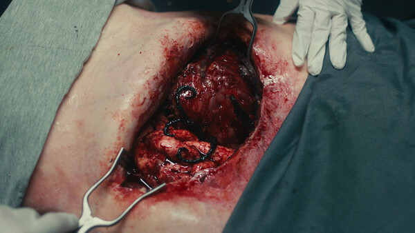 图片[4]-死亡重启 v1.0.4（Dead Reset）免安装中文版-87软件库｜绿色软件+破解游戏下载站