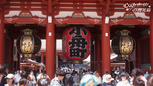 图片[5]-心动恋旅：樱花篇 v1.0.0（Blossom Voyage）免安装中文版-87软件库｜绿色软件+破解游戏下载站