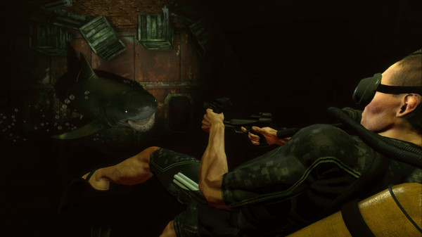 图片[6]-深海惊魂 Build.17843280（Depth）免安装中文版-87软件库｜绿色软件+破解游戏下载站