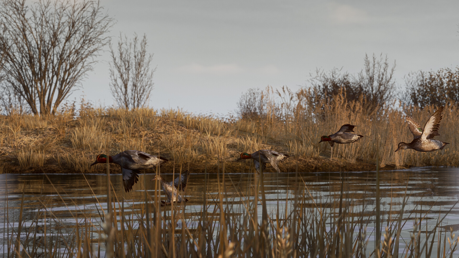 图片[2]-BULT：狩猎模拟器 Build.21292230（BULT Hunting simulator）免安装英文版-87软件库｜绿色软件+破解游戏下载站