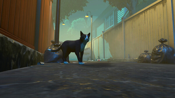 图片[2]-冒牌猫谜 v1.0.6（Copycat）免安装中文版-87软件库｜绿色软件+破解游戏下载站