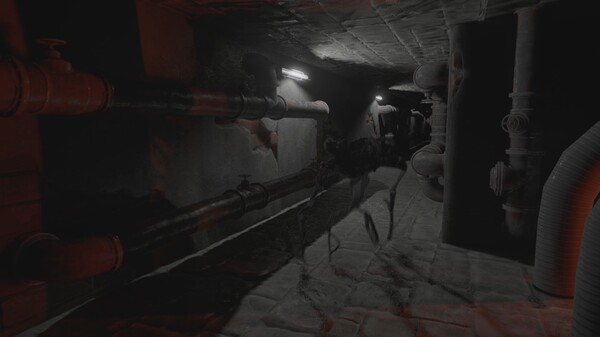 图片[3]-失落的希望：密室 Build.18340459（Lost Hope: Backrooms）免安装中文版-87软件库｜绿色软件+破解游戏下载站