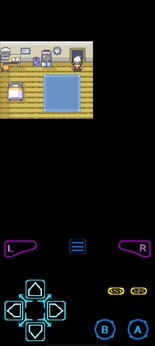 图片[2]-口袋妖怪：传说绿宝石（内置金手指）-87软件库｜绿色软件+破解游戏下载站