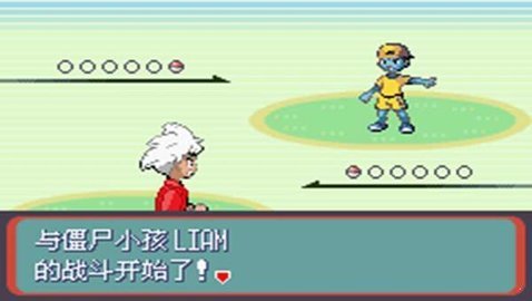 图片[3]-宝可梦：蛇纹木 重制版-87软件库｜绿色软件+破解游戏下载站