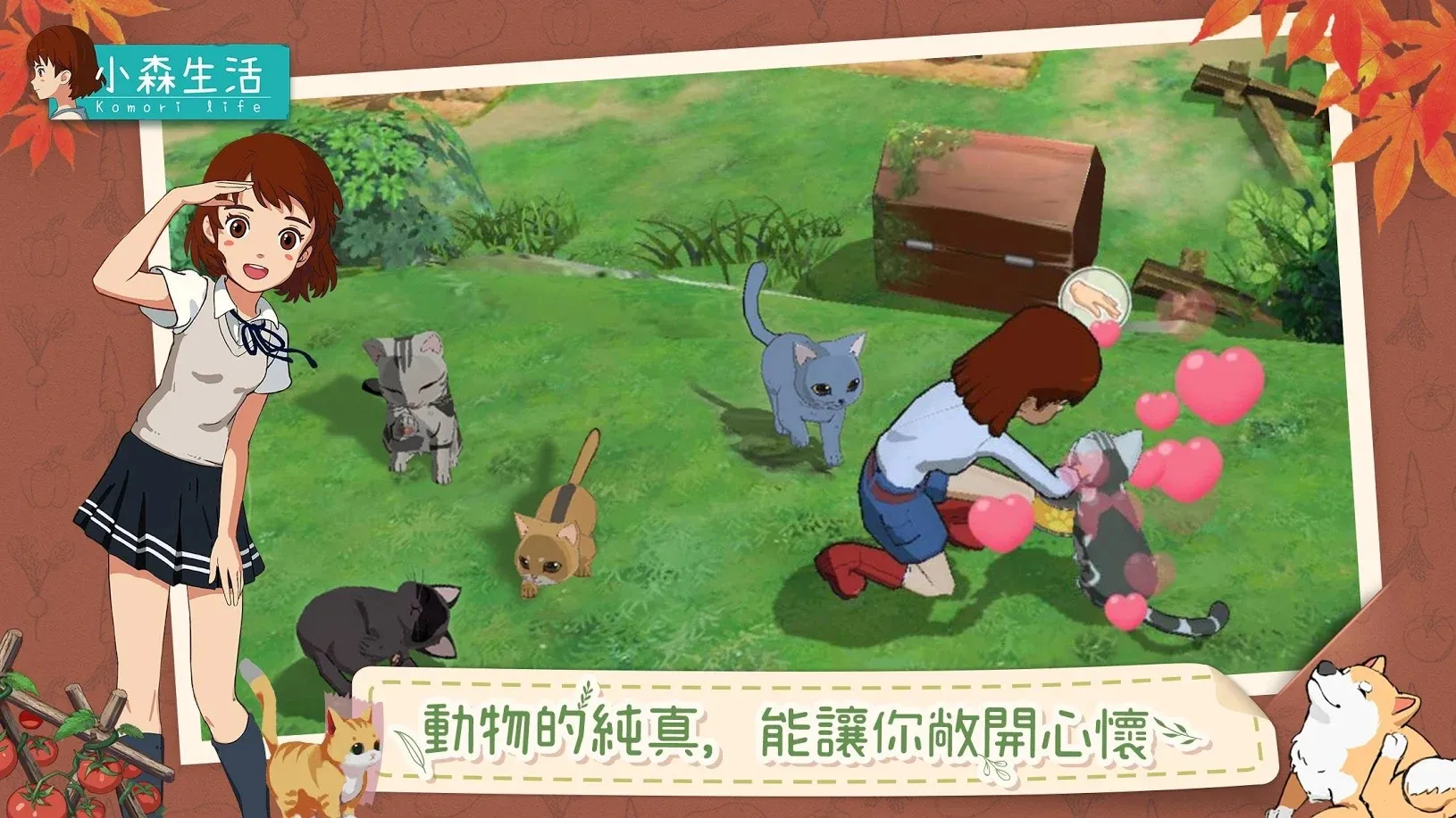 图片[4]-小森生活（免谷歌）-87软件库｜绿色软件+破解游戏下载站