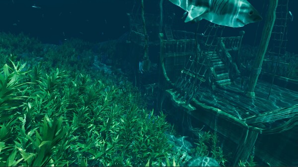 图片[4]-孤岛笔记 v1.41（Island Notes）免安装中文版-87软件库｜绿色软件+破解游戏下载站