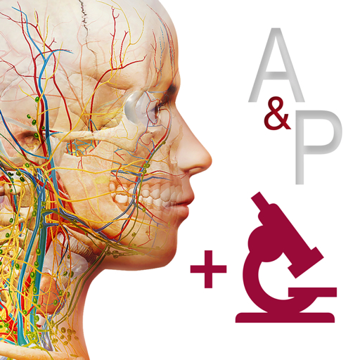 Anatomy and Physiology for Mac(解剖生理医学软件)V6.2.07破解版-87软件库｜绿色软件+破解游戏下载站