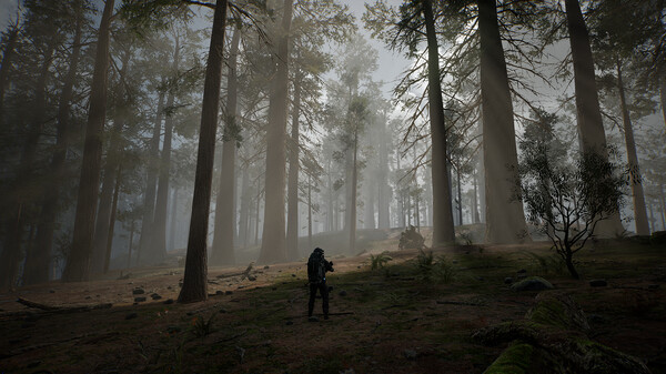 图片[6]-生命效应 v0.36.5（LIFE EFFECT）免安装英文版-87软件库｜绿色软件+破解游戏下载站