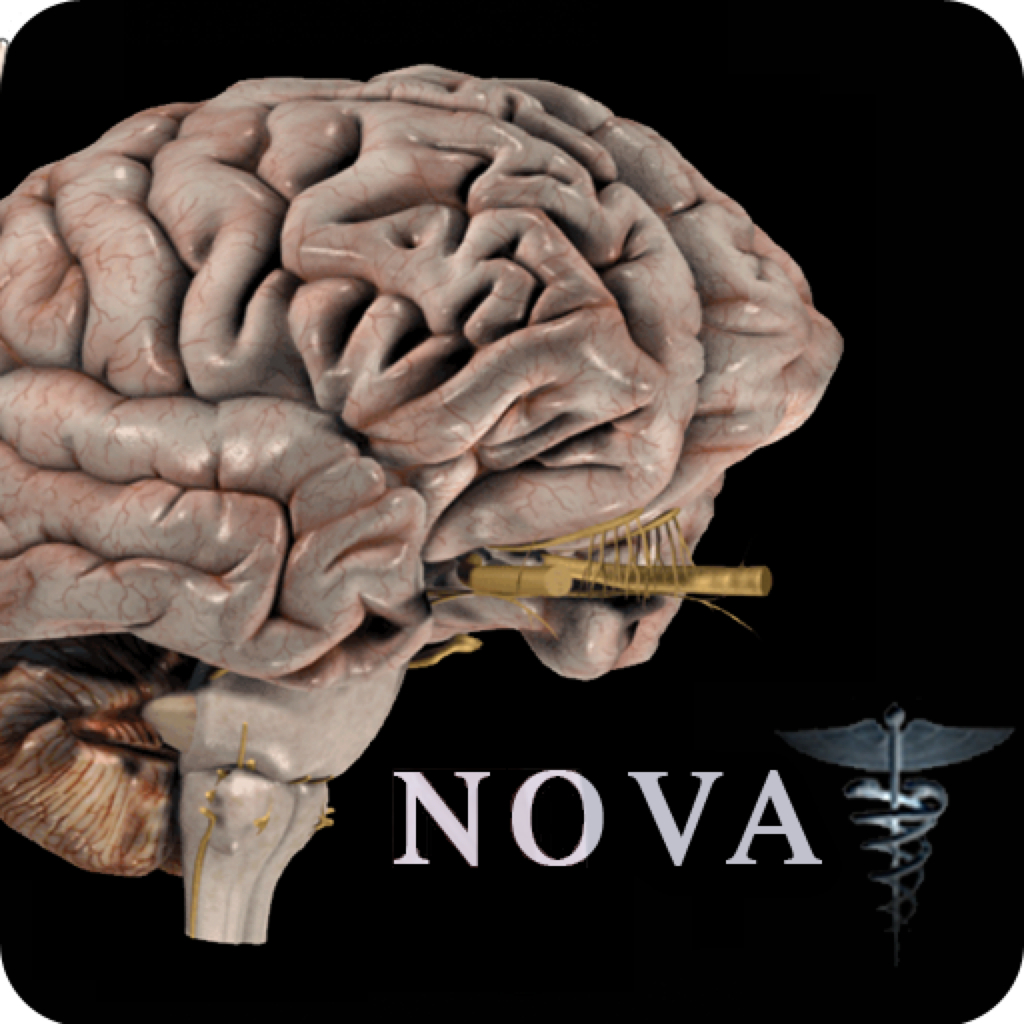 Brain Pro for Mac(3D大脑医学参考软件)v1.0破解版-87软件库｜绿色软件+破解游戏下载站