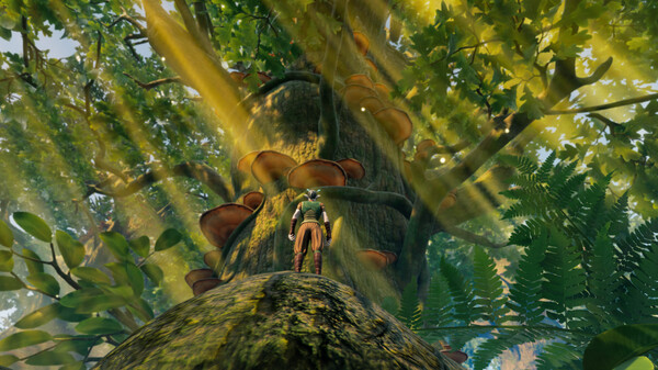 图片[2]-小小世界：原野求生 单机+联机 v2.3.0（Smalland: Survive the Wilds）免安装中文版-87软件库｜绿色软件+破解游戏下载站