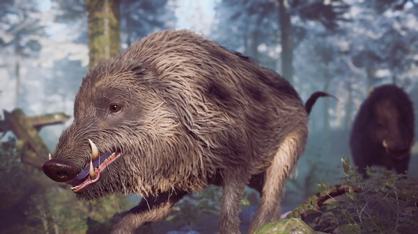 图片[6]-冬日幸存者 v56254S（Winter Survival）免安装中文版-87软件库｜绿色软件+破解游戏下载站