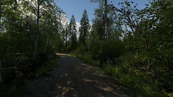 图片[4]-芬兰小屋模拟器 Build.23151899（Finnish Cottage Simulator）免安装中文版-87软件库｜绿色软件+破解游戏下载站