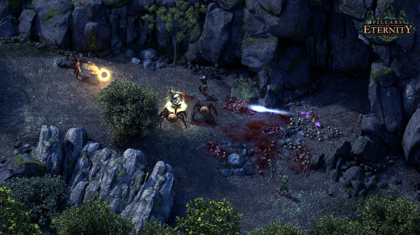 图片[5]-永恒之柱 v3.9.4.89183 全DLC（Pillars of Eternity）免安装英文版-87软件库｜绿色软件+破解游戏下载站