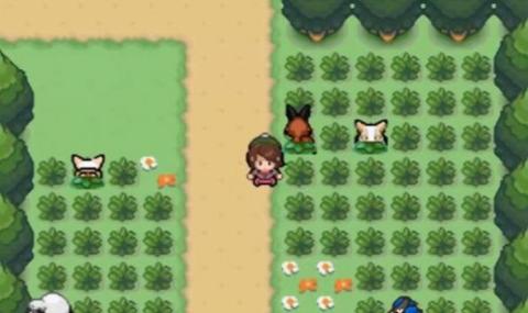 口袋妖怪：剑盾（内置金手指）-87软件库｜绿色软件+破解游戏下载站