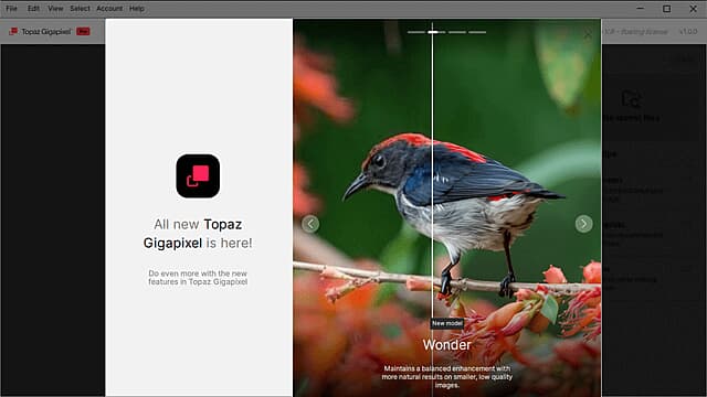 Topaz Gigapixel(图像超分辨率软件) Pro v1.0.2 直装破解版-87软件库|绿色软件+破解游戏下载站