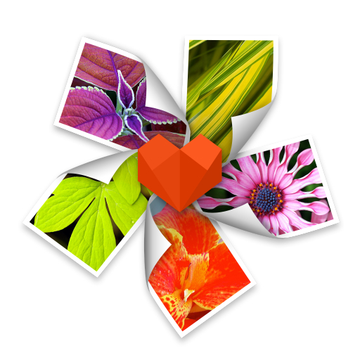 ArcSoft Photo+ for mac(Mac看图神器)v3.0.10138中文激活版-87软件库|绿色软件+破解游戏下载站
