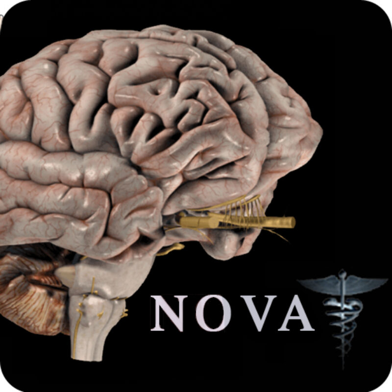 Brain Pro for Mac(3D大脑医学参考软件)v1.0破解版-87软件库｜绿色软件+破解游戏下载站